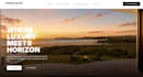 build you a professional website fast