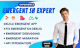 do expert emergent sh coding emergent sh setup and emergent sh fixes