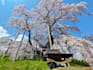 design a custom japan travel experience beyond sightseeing