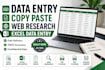 do data entry, copy paste, web research and excel data entry