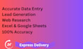 do accurate data entry, excle and google sheets