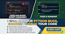 fix python bugs, errors, and debug your code