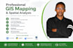 do professional gis mapping and spatial analysis services