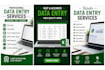 do accurate data entry, copy paste , excel and web search