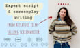 write your screenplay for you