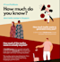 design a professional and engaging infographic