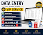 be your professional data entry and microsoft excel expert