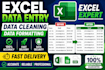 clean and organize excel data and datasets professionally
