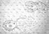 create charecter sketches,animals,illustrations and tattoo