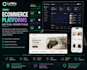 develop a custom ecommerce platform for your business