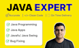 develop java desktop application as a professional java developer