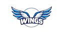 make amazing wings logo with express delivery