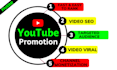 do usa video promotion for complete youtube channel monetization