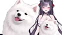 design and rig live2d model, 2d vtuber model, vtuber rigging, live 2d model