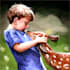 create professional digital illustrations and custom character art
