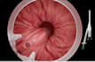create scientific and cell biology animation