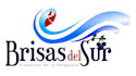 logo designer, the best