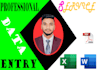 do excel data entry, copy paste and website data entry