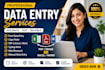 provide accurate data entry excel data entry and copypaste