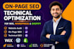 do wix SEO optimization for your wix website and on page  setup