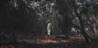 create professional music videos with cinematic editing
