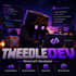 develop custom minecraft servers, plugins, and server websites