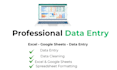 accurate data entry in microsoft excel and google sheets