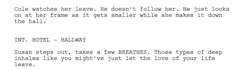 outline your script idea