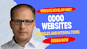 install odoo, develop custom module, reports, website, fix bugs and consulting
