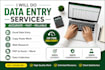 do accurate data entry ,  copy paste, excel, and web research