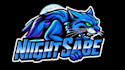 create unique night saber logo with unlimited revisions