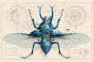 draw a scientific illustration
