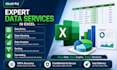 do expert data entry, data cleaning, and data analysis