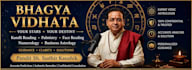 be your professional vedic astrologer and kundali reader