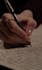 write professional study notes and summaries