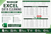 clean, format and organize microsoft excel data professionally