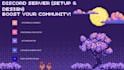 create, setup and design a professional discord server