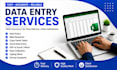ido accurate data entry, web research, copy paste