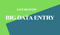 do a fast delivery big data entry