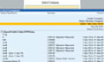do professional bookkeeping in tally prime and excel data entry