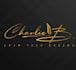 design handwritten signature logo