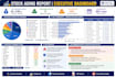 create professional excel dashboards, reports and KPI analysis
