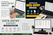 do excel data entry