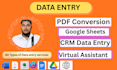 do professional data entry as a research assistant