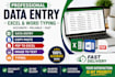 do web research,data collection,copy paste and excel data entry