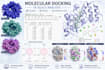 perform molecular docking using autodock vina and pyrx