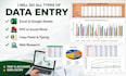 professionally data entry or data typing