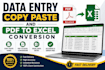 do accurate data entry, copy paste, PDF to word and excel