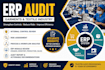 perform erp audit and internal control review for garments and textile industry
