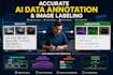 provide accurate ai data annotation and image labeling